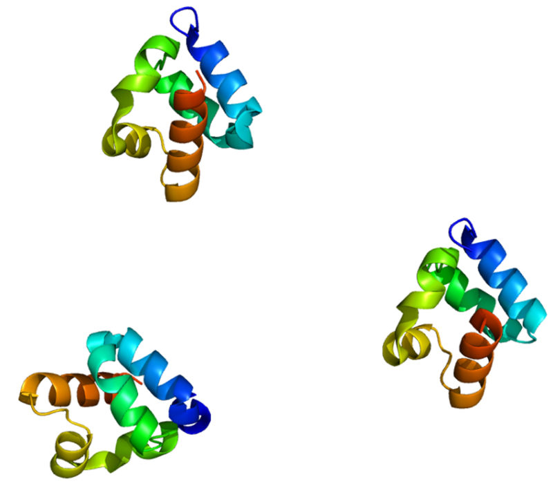 Structure of the Shank3 protein, a gene with a strong association to autism spectrum disorder.