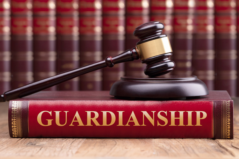 Gavel and striking block over a guardianship law book