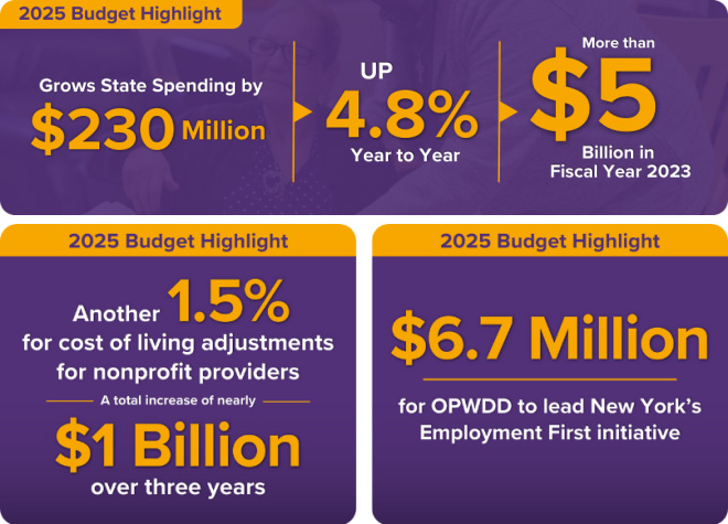 NY State fiscal year 2025 budget proposal for people with developmental disabilities