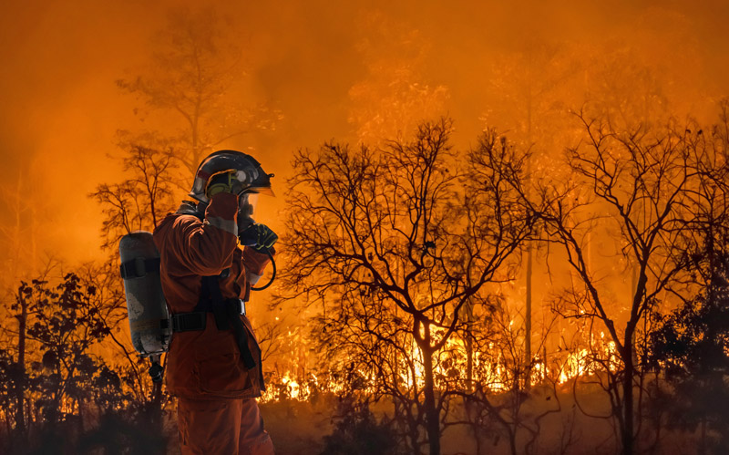 Firefighters battle a wildfire