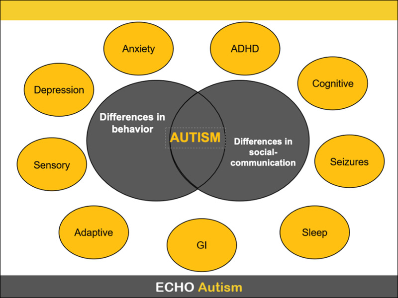 Zenn diagram of differences in behavior and social communication for autistics