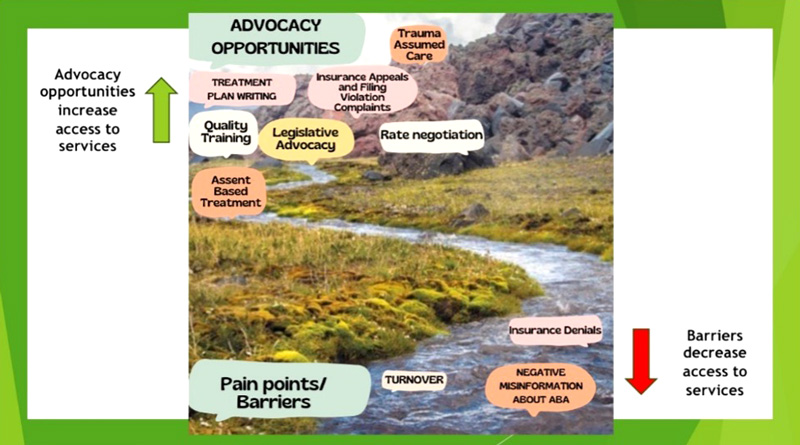 Advocacy opportunities infograph