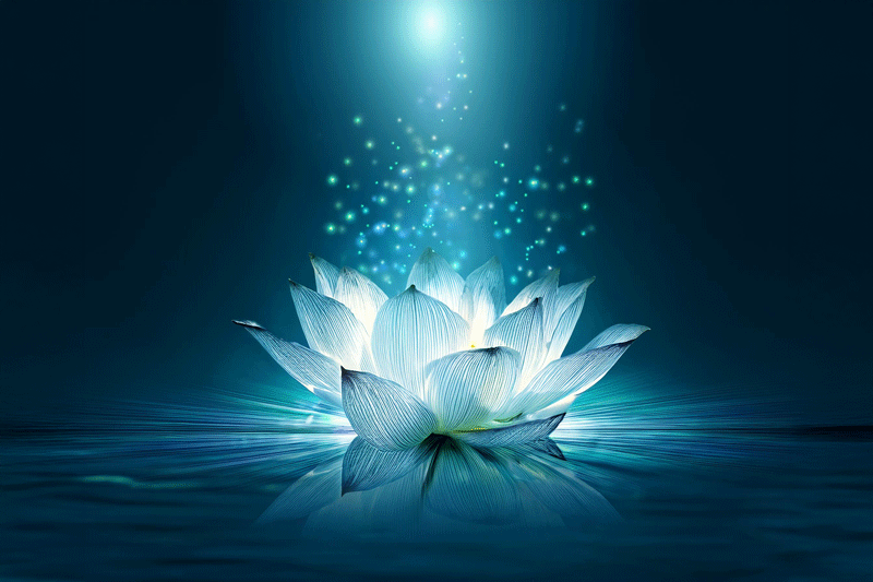 AI Image Lotus Flower Inner Strength for bullying