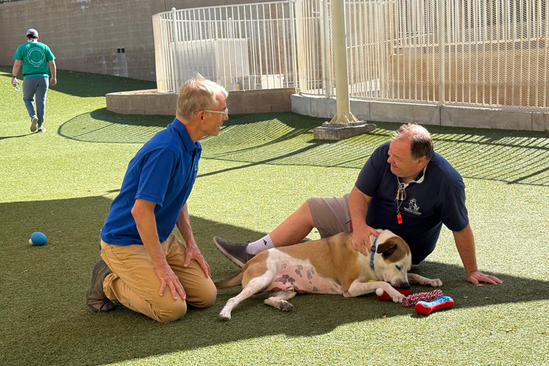 A First Place–Phoenix Resident volunteers at a local animal shelter with Tom Ortega, Director of the Mulzet Center for Expression at First Place Global.