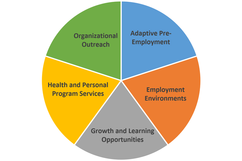Best Employment Practices Model for Autistic Students
