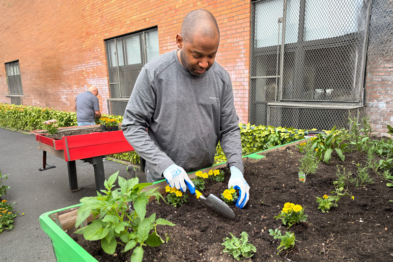 Every plant tells a story of care, consistency, and building confidence that comes from creating something with your own hands.