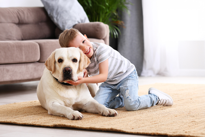  How Animals and Pet Therapy Enhance Recreational Experiences